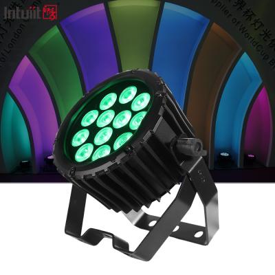 China LED Par 12x3W RGBW Full Color 4IN1 RGBW 4IN1 Party Par Light Led Flat Par Wall Washer Light Te koop