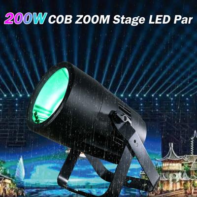 China IP65 DMX Led Cob 200w Par Lighting Outdoor Christmas Lights RGBW for sale