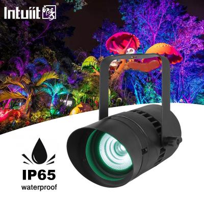 China Spot Light Outdoor Landscape Lighting 15W RGBW Color Changing LED Landscape Lights For Yard House Garden for sale