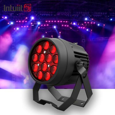 China Professional Aluminum Stage Light 12x10W 4IN1 LED Par For Dj Party Club Stage Lighting for sale