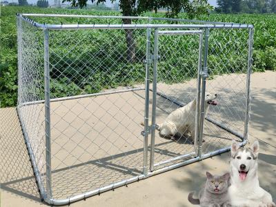 中国 チェーンリンク 鋼製 犬の飼育場 1.5M 高さ 鋼鉄製 大型ケース 動物用 販売のため