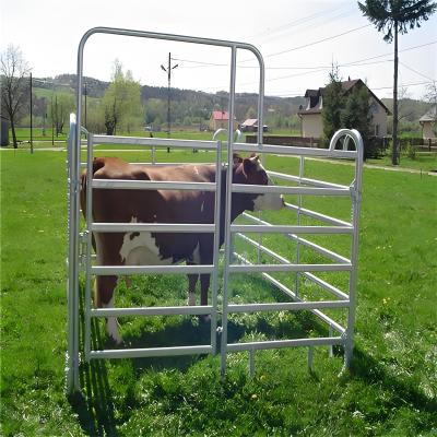 Cina 2.4M American Livestock Cattle Corral Fencing Round Pipe Style Cattle Fencing Panel in vendita