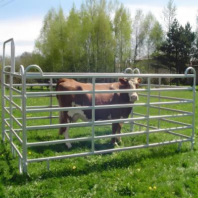 China 12foot Galvanized Welded Yard Fence Panel Livestock Horse Farm Fencing for sale