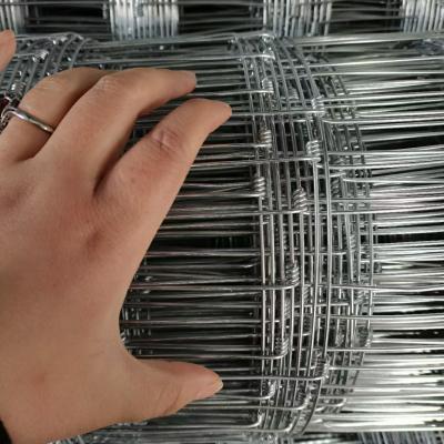 China 1.5M Galvanisierte Rinderplatten, Metallviehplatten für die Landwirtschaft zu verkaufen