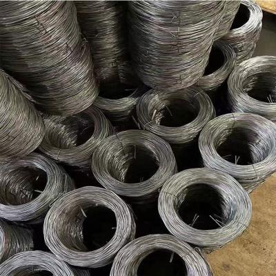 China High Tensile Annealed Steel Wire Twisted Soft 0.3mm-6mm Q195/Q235 Te koop