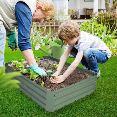 China Herb Large Planter Box Steel Outdoor Easily Gathered Gardening Kit Metal Raised Garden Beds for Vegetables for sale