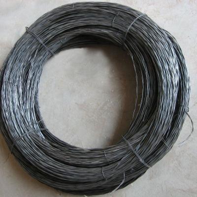 China Blind Wire Twisted Wire Black Wire Annealed Wire for sale