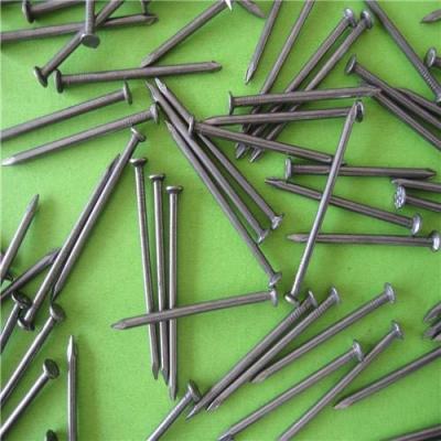 China Flat Polished Common Wire Nail Iron Common Nail Factory Price for sale