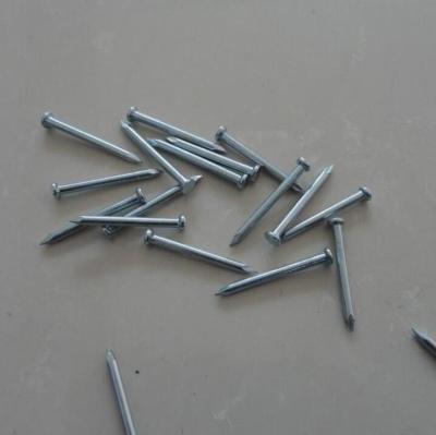 China Concrete In Construction Hot Sale For China Qualified Zinc Coated Electric Galvanized Concrete Steel Nails With White Blue Color for sale