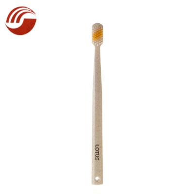 China Disposable Biodegradable Plastic Small Head Wheat Straw Solid Charcoal Toothbrush for sale