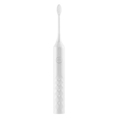 China Cheap Automatic Adult Electronic Toothbrush Toothbrush PT4 Battery Waterproof USB Battery Chargeable Toothbrush Adult Electronic Toothbrush Factory for sale