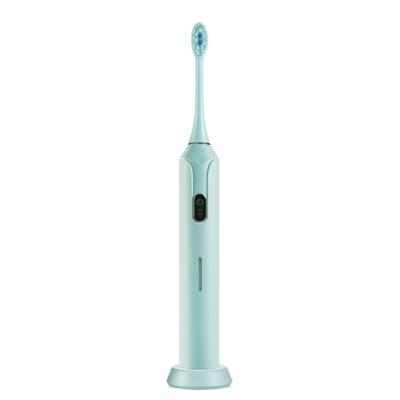 China T5B Rechargeable Battery Cheap Automatic Adult Electric SonicToothbrush Waterproof Portable Toothbrush for sale