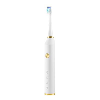 China Rechaegeable Powered Rechargeable Automatic Soft Bristle Baby Kids Cute Sonic Electric Toothbrush From China Factory T4 for sale