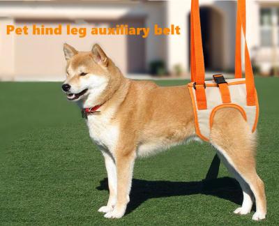 China Custom Old Fashion or Disability Dogs Balance Support Dog Hind Legs Auxiliary Belt For Recovery Disability for sale