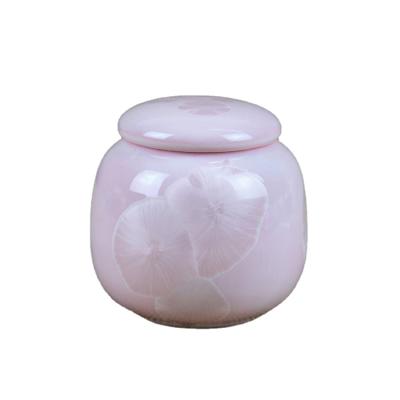 China Mini Hamster Cat Dog Tooth Hair Durable Material Medium Medium Hair Storage Tank Customized Small Ceramic Cremation Burial Urns For Pets for sale