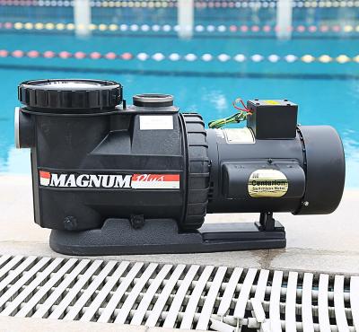 China high quality hayward pump pump solar water pool pumps for sale