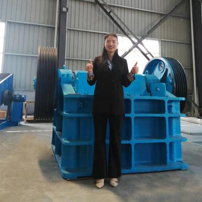 China Rock Stone Pe Double Plates Mining Jaw Crusher for sale