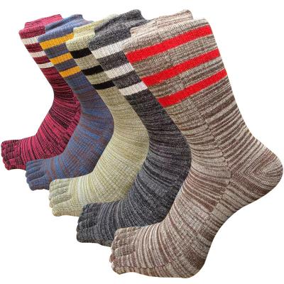 China Autumn and winter solid color three-bar high-tube cotton men's five-finger QUICK-DRY socks for sale