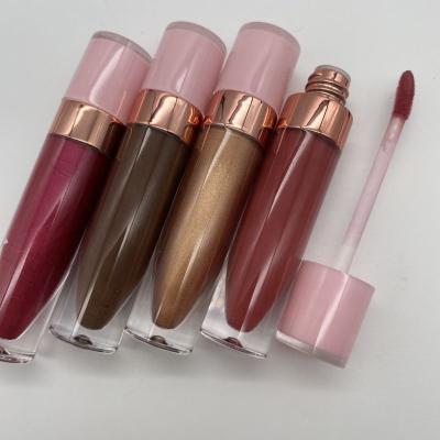 China Mini Pink Tube Lipgloss Lipgloss Non-Stick Sunscreen Matte Lipstick Makeup Waterproof Matte Lip Gloss Dye Private Label Vegan Lip Gloss for sale