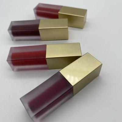 China Sunscreen Velvet Liquid Lipstick Makeup Lid Tube Gold Nudity Colors Liquid Lip Gloss Private Label Custom Your Logo Lips Lipgoss Makeup for sale