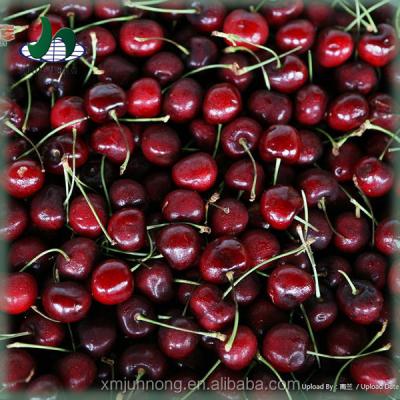 China Fresh Famous Brand Canned Delicious Canned Cherry for sale