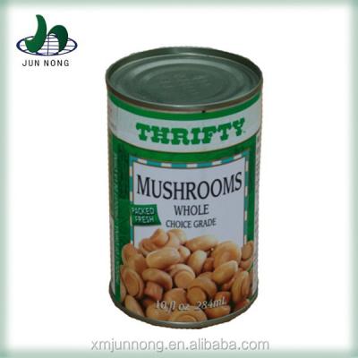 China Delicious new seasonal fresh newcomer canned food all types of mushrooms for sale