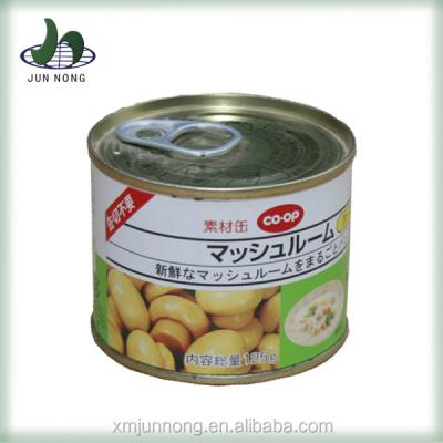 China New season fresh new product canned food nomic competitive price tin canned delicious fresh mushroom for sale