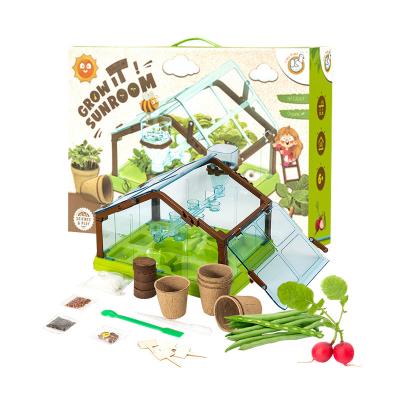 China Hot Selling Solarium Mini Planting Children Plant Observation Home Seed Growth Disc Box Set Desktop Toy Lazad Pc151 for sale