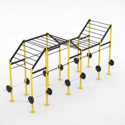 China HALA-RGE1-24 Wholesale Steel Training Rack Customized Rack Pull Up Rigs Mounting Racks for sale