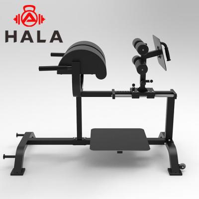 China Universal commercial gym ghd multi equipment HALA-MB-1603 hyper reverse extension bench exercise bench for sale