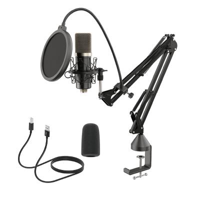 China Fast Delivery Microphone USB Recording Microphone Professional Studio Recorder Microphone for sale