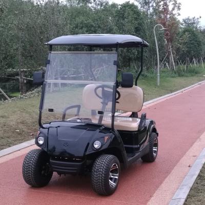 China 2 seat mini electric rechargeable golf cart for golf club Mini Electric Car for sale