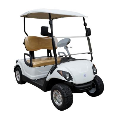 China Good Price Electric Golf Car / 2 Seat Electric Golf Buggy With Competitive Prices 2.5x1.2x1.71m for sale