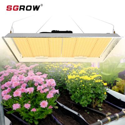 China SGROW SF300W IP65 Waterproof Full Spectrum Starting Seed Dimmable Led Grow Light For Indoor Plant for sale