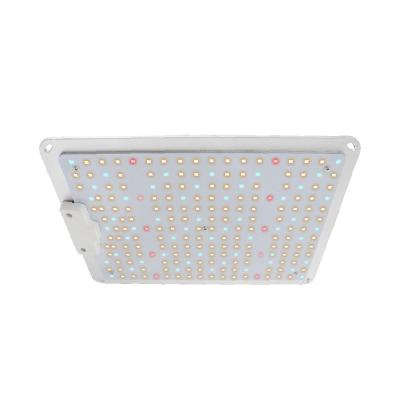 China Seed starting SGROW meanwell driver QP120W 301b 660nm 730nm citizen grow light led grow light for home plant for sale