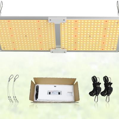 China Seed Starting SGROW 2022 IP65 QP240 Full Spectrum Daisy Chain Led Grow Light for Plants Breeding for sale