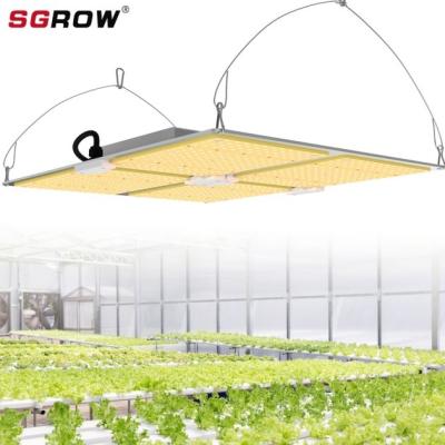 China SGROW Sumsung 301b Factory Wholesale IP65 Waterpoof 480W Full Spectrum Seed Starting LED Grow Light For Factory for sale