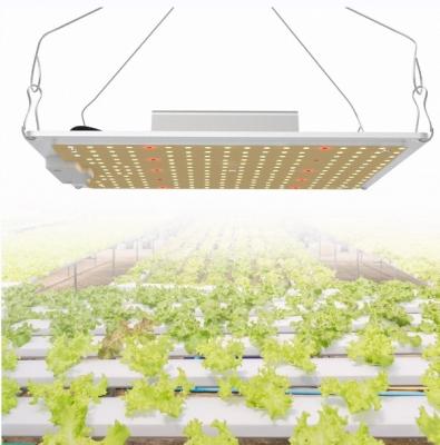 China Seed Starting SGROW QB120 IP65 Waterproof Full Spectrum 120W 240W 480W LED Grow Light For Indoor Plant for sale