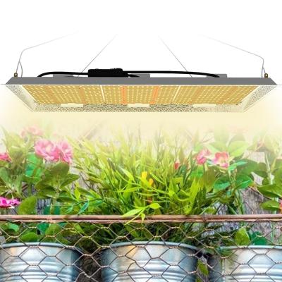 China Seed Starting Hot Selling SGROW SF 450W IP65 Full Spectrum For Home Planting Grow Light for sale