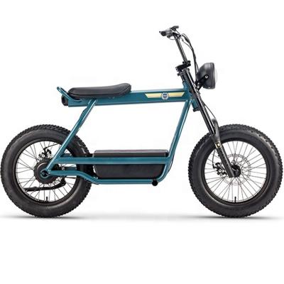 China Electric Bicycle 20