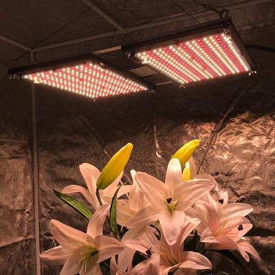 China Starting From Seed Led Board Best Selling STRATEGY 288 v2 v3 240W Red Led Grow Lights, lm301b lm301h with IR 660nm LED for sale