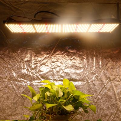 China UV Seed Starting Grow Lights 240W Indoor Plants Lm281B With 660 Hydroponic Plant Price Grow Light for sale