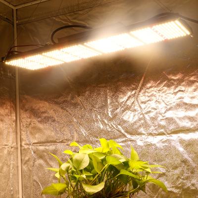 China Seed Starting Preassembly Rebate Supplements 480W v3 Greenhouse Led Board Grow Shop Led To Grow Light for sale