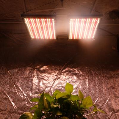 China STRATEGY 288 board V3 LM301B LM301H hps Diy starting seed 240W led grow light kit with 660nm far red for sale