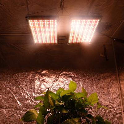 China Seed starting 2021 550 V3 301h 660nm led grow light panel, 3000k 3500k led grow light 480w for garden tent for sale