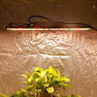 China Seed Starting 2021 m301h Best Dimmable Full Spectrum 660W LED Panel Grow Light for sale