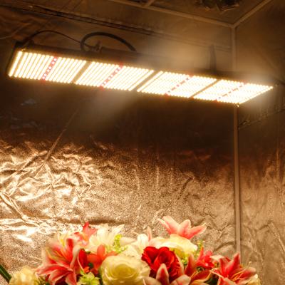 China Seed starting March 2021 grow light shop 301h 400 watt hps ETL CE listed full spectrum cob panel plasma led grow lights for sale