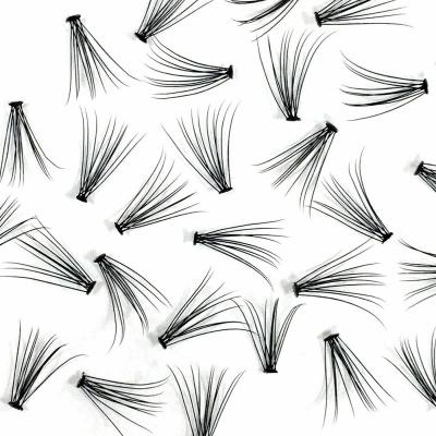 China Sale 1S Natural High Bloom Volume Lash Fans With Easy Apply For Extension Wicks for sale