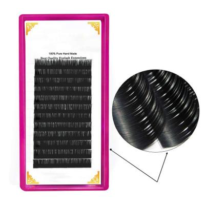 China New style natural lash extensions with easy apply dual density curl 2d 3d 4d 5d 6d 8d swamp quick blooming lash lashes supplies different strands for sale