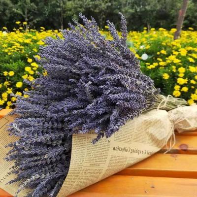 China W008 Natural Touch Dried Flower Arrangement Preserved Flowers Wedding Lavender Flowers Christmas Decorations for sale